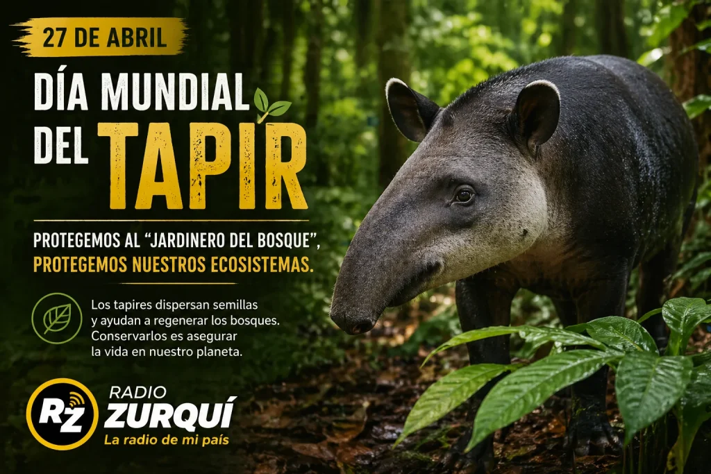 Día Mundial del Tapir 27 de abril en la historia ilustración del tapir en su hábitat natural Radio Zurquí