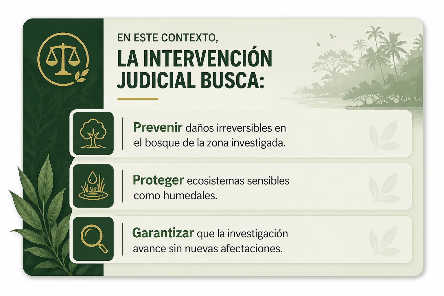 Intervención judicial para proteger el ambiente en Gandoca-Manzanillo y evitar daño al bosque