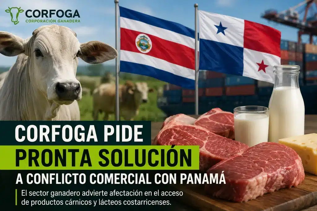 Corfoga pide pronta solución al conflicto comercial con Panamá que afecta productos cárnicos y lácteos costarricenses