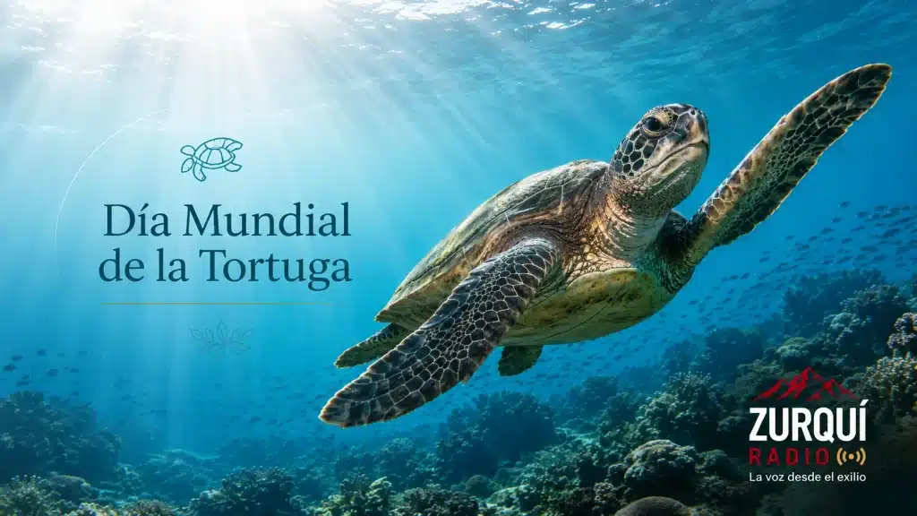 Día Mundial de la Tortuga 23 de mayo ilustrado con una tortuga marina bajo el océano en imagen editorial de Radio Zurquí.