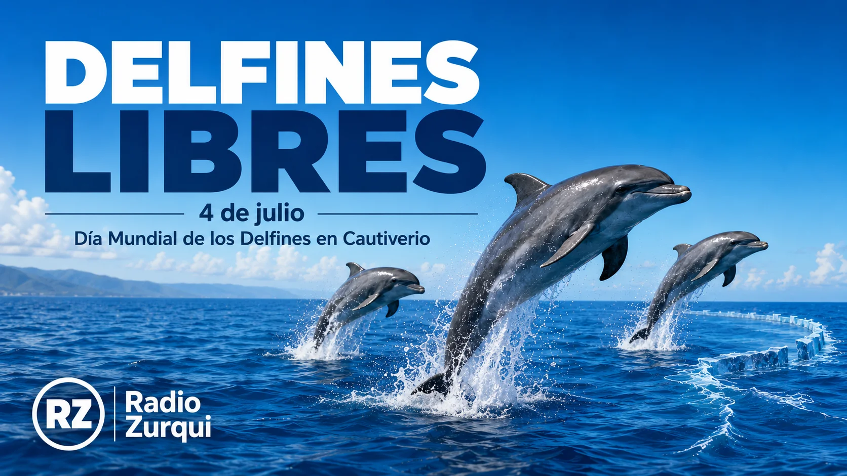 Delfines saltando libres en el océano por el Día Mundial de los Delfines en Cautiverio, 4 de julio.