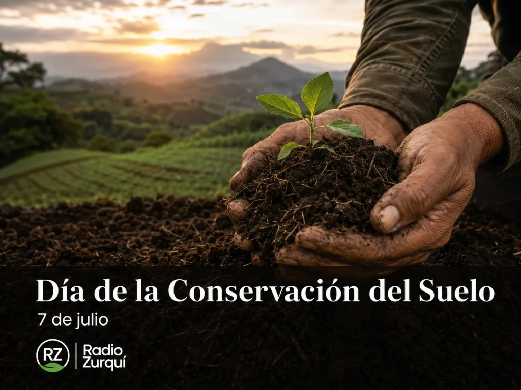 Manos sostienen tierra fértil con una planta joven durante el Día de la Conservación del Suelo, recordado cada 7 de julio.