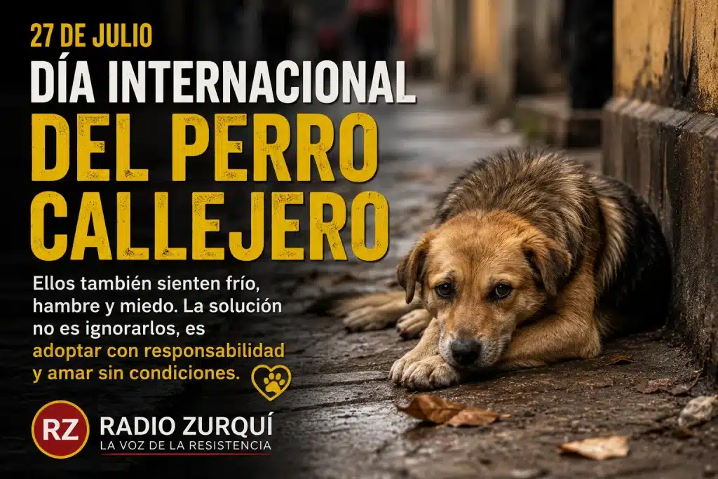 Perro abandonado en una calle durante el Día Internacional del Perro Callejero, con mensaje de adopción responsable y logo de Radio Zurquí.