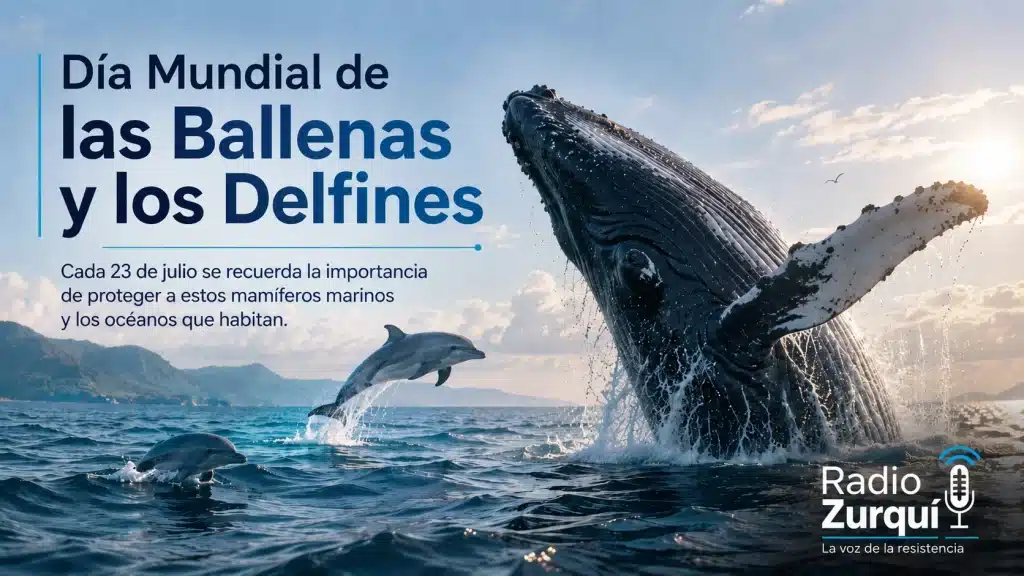 Día Mundial de las Ballenas y los Delfines | 23 de julio