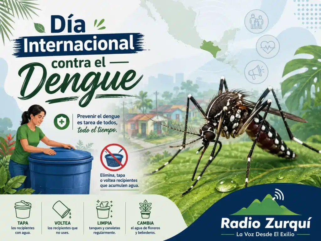 Día Internacional contra el Dengue, prevención del mosquito Aedes aegypti y eliminación de criaderos.