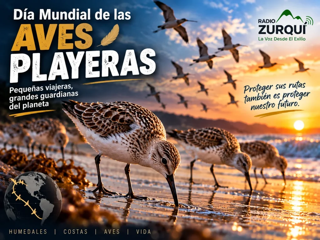 Día Mundial de las Aves Playeras 6 de setiembre - Radio Zurquí